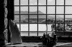 Vineyard near Kavala