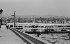 Apolena
