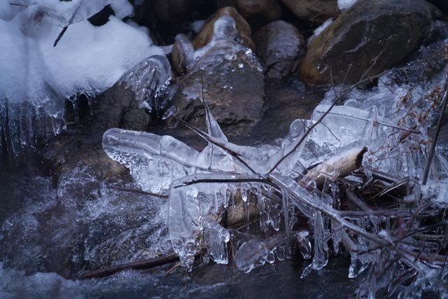 post-4056-0-65132500-1488306338_thumb.jp