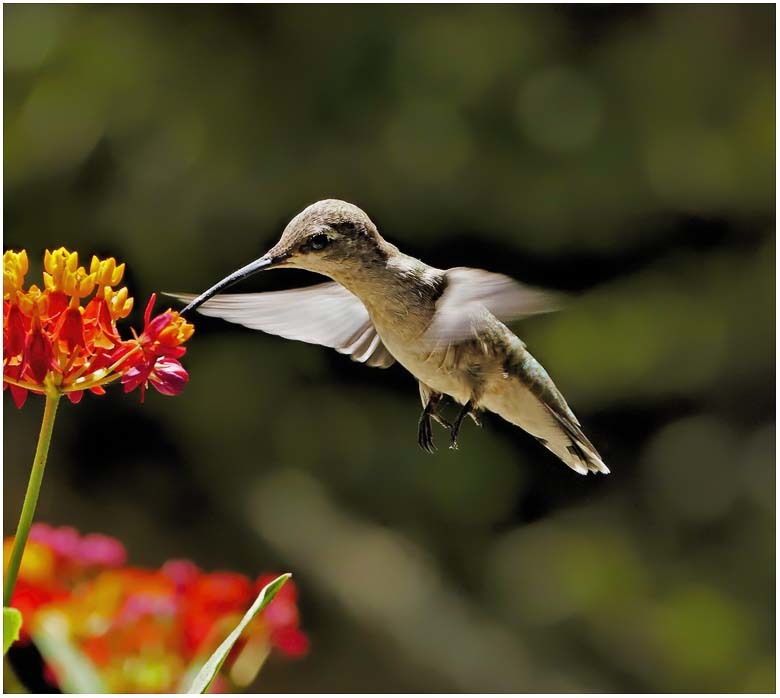 post-12801-0-58736800-1433796633_thumb.j