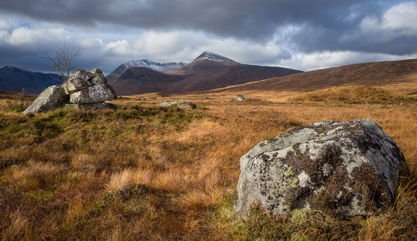 Rocks on the Moor (1 of 1).JPG