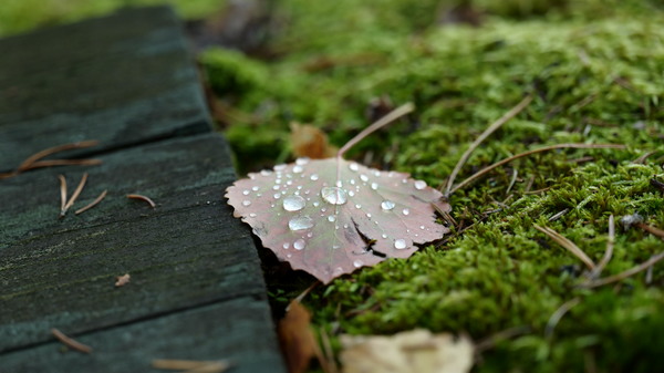D292DE5C-4A37-46FB-80BF-6CBEABE7B81C.jpeg