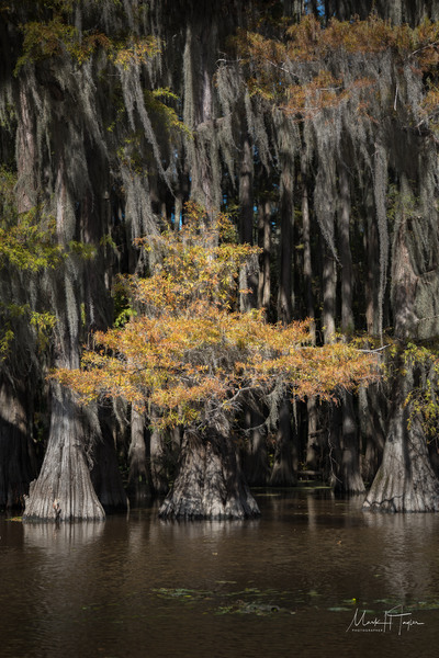 20181026-L1000024.jpg