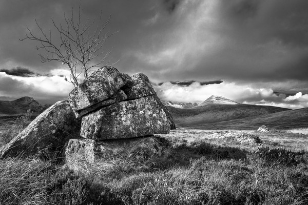 Moorland.JPG