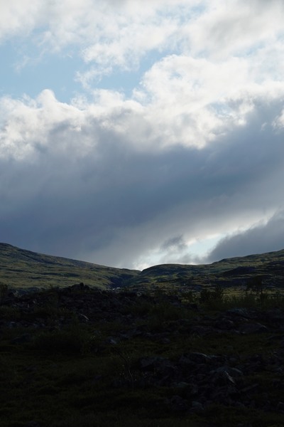 _DSC0314_1024TUNDRA.jpg