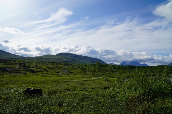 _DSC1110_1024TUNDRA.jpg