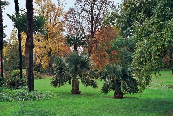 25A.jpg