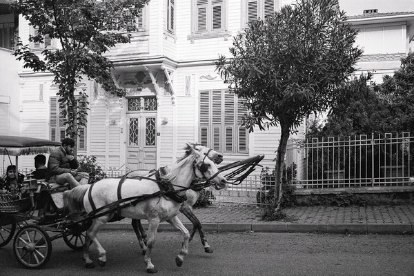 horse power3 (1 av 1).jpg