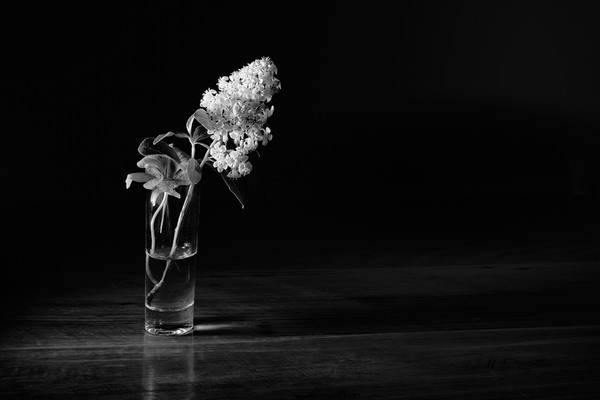 L1010348.jpg