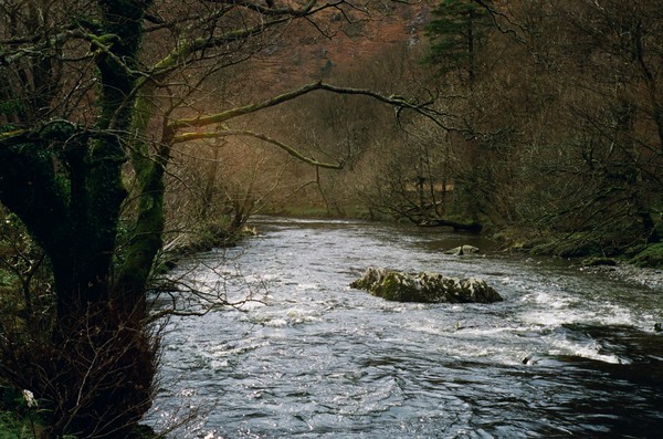 9CE5A4F0-506D-4C76-9A4F-7A8D176A7FEB.jpeg