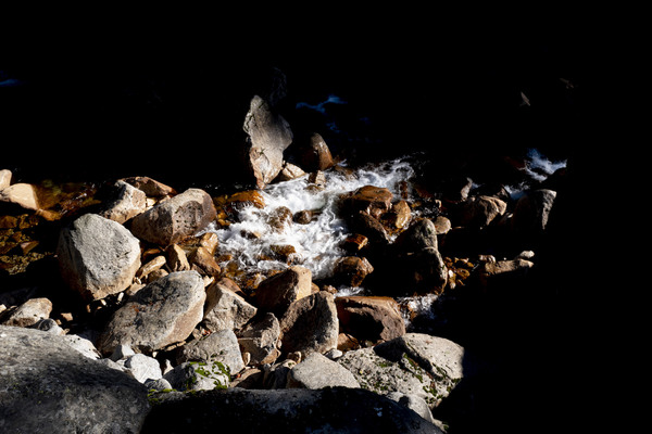 L1030130.jpg