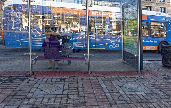 2 bus reflections.jpg