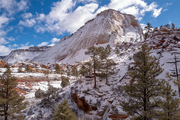 Zion-1000203.jpg