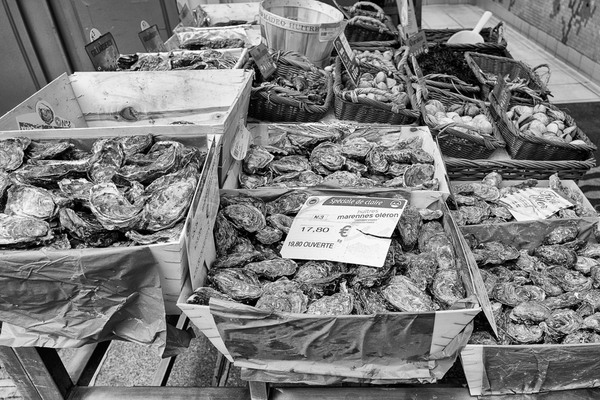 Markt-Austern_SW_L1010423-.jpg