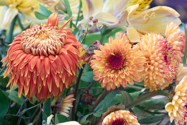 L1222341.jpg