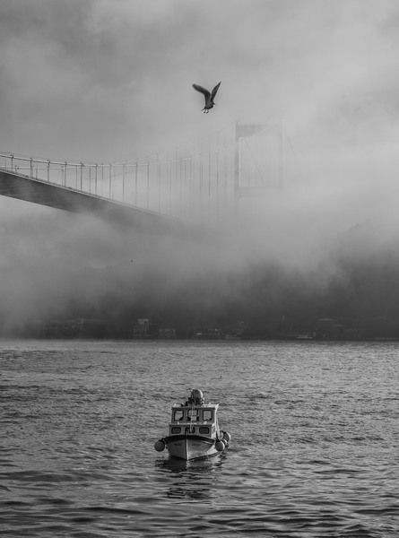 untitled-1001242-Edit.jpg