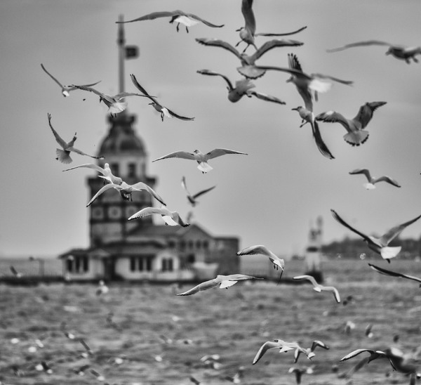 untitled-9495-Edit.jpg