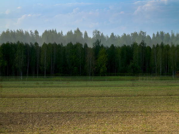 _1100039 3 1.jpg
