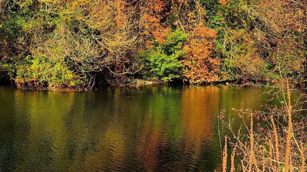 Herbst (3).jpg