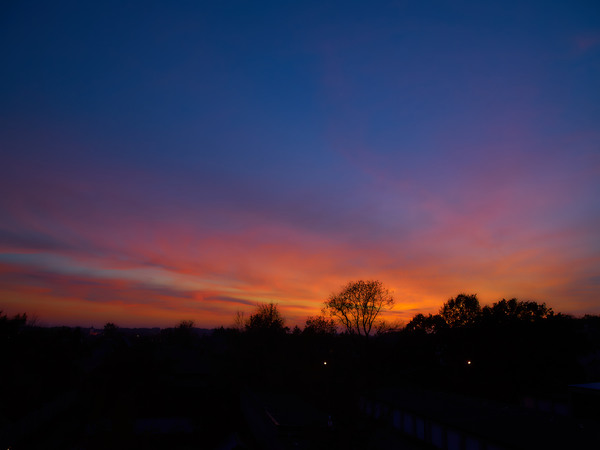 _1120030 2 1.jpg