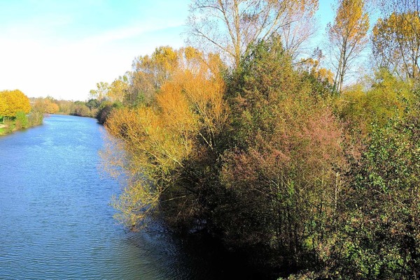 Herbst (1).jpg