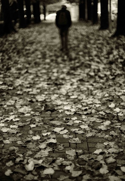 Autumn
