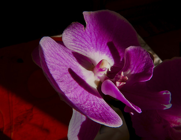 L1340015 2.jpg