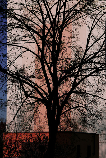 L1050019.jpg