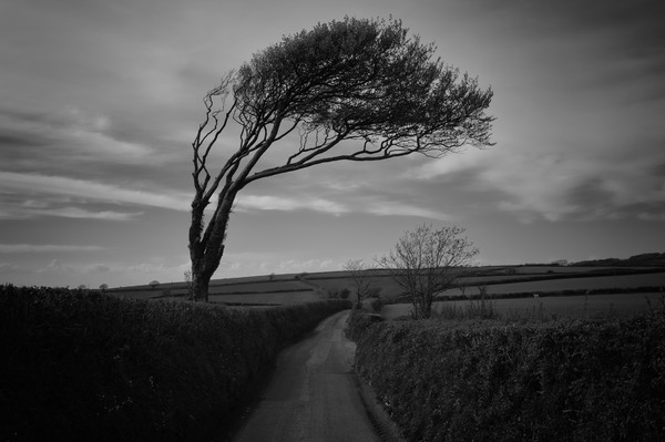 Isolation