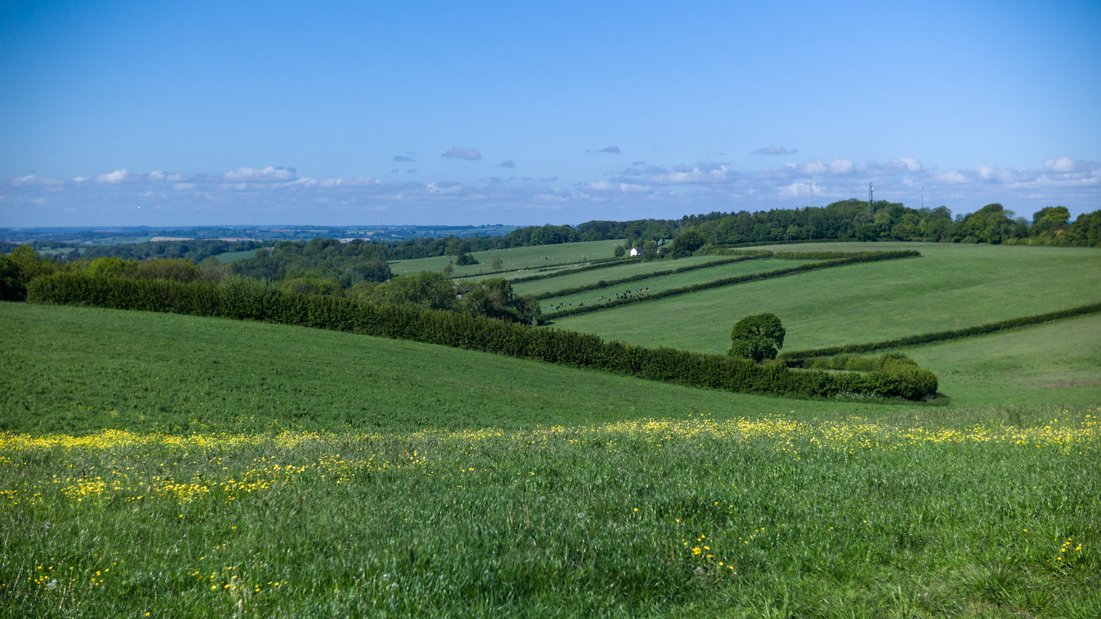 West Somerset