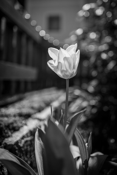 unbenannt (7 von 36).jpg