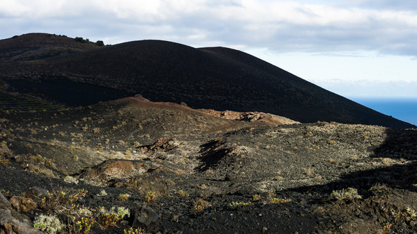Evening sun on a field of lava.jpg