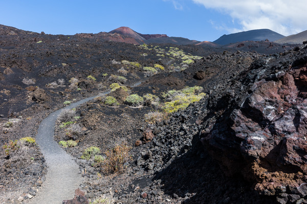 Path to the volcano 2.jpg