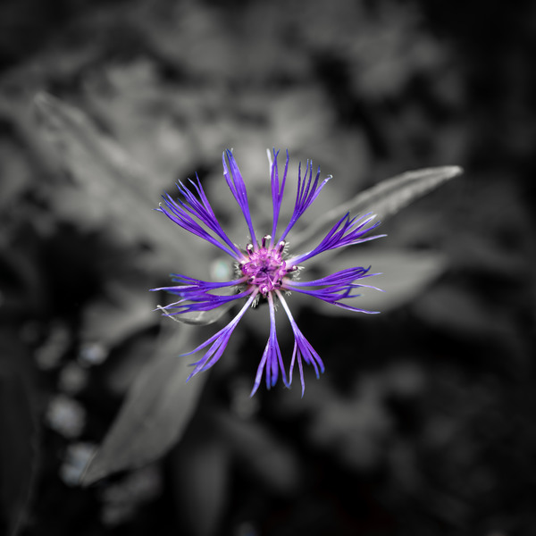 unbenannt (33 von 39).jpg