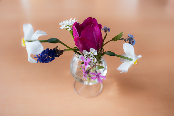 unbenannt (6 von 9).jpg