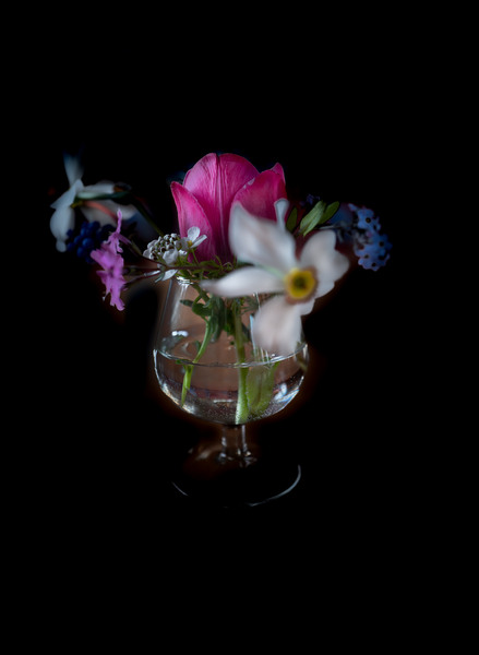 39FAF462-129D-4095-ADF3-F4AAB0FD3688.jpeg