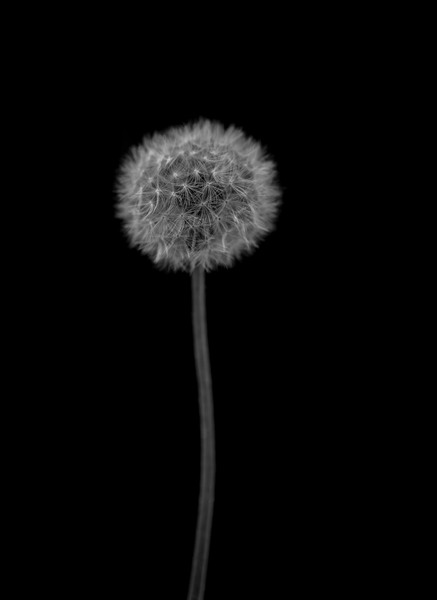 unbenannt (7 von 7)-2.jpg