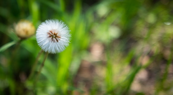 573741B1-BE77-46D2-9EF6-C9A8388DF029.jpeg