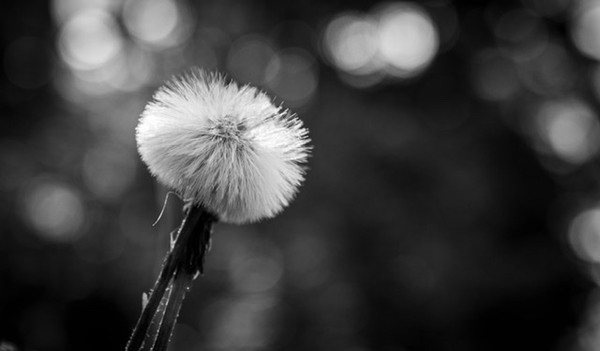 909DD71D-B232-4252-A418-A554C3A9FFAB.jpeg