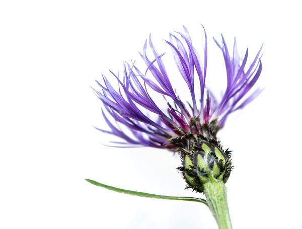 unbenannt (20 von 39).jpg