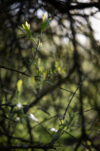 Spring3