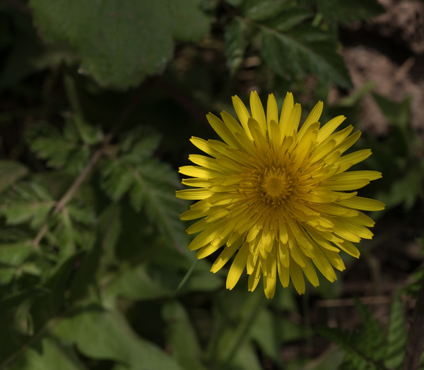 L1050655.jpg
