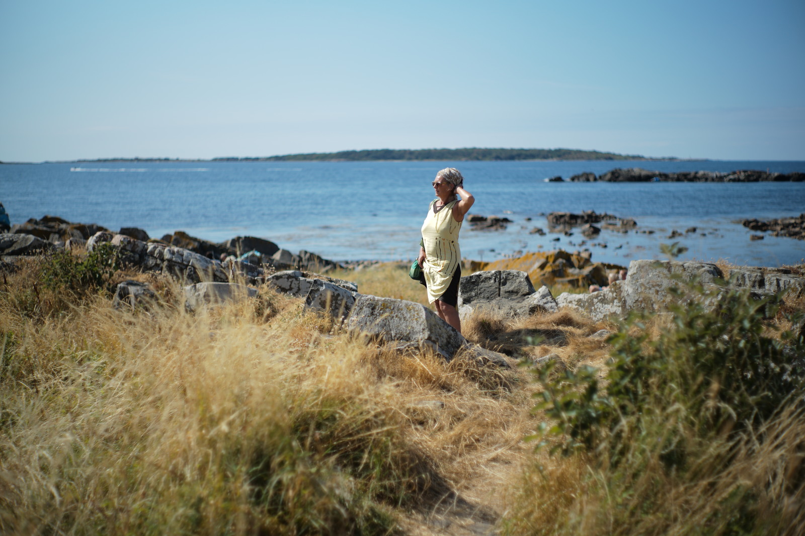 Summilux-m 50mm f/1.4 pre-ASPH. v3