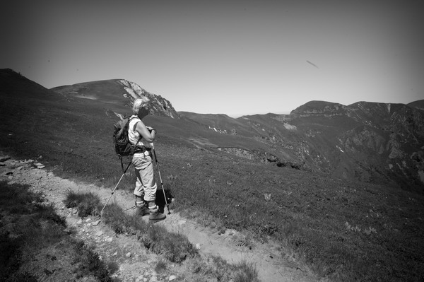 L1374439.jpg