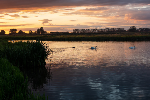 Fens 4