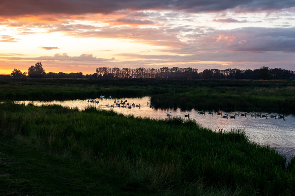 Fens 5