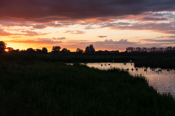 Fens 6