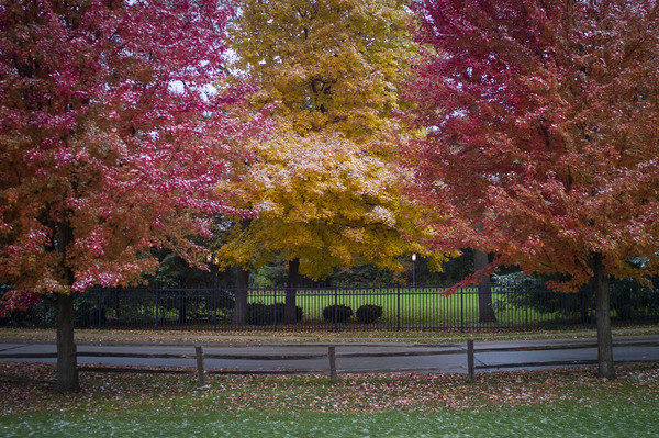 10.24.20 Leica Walkabout #3.jpg