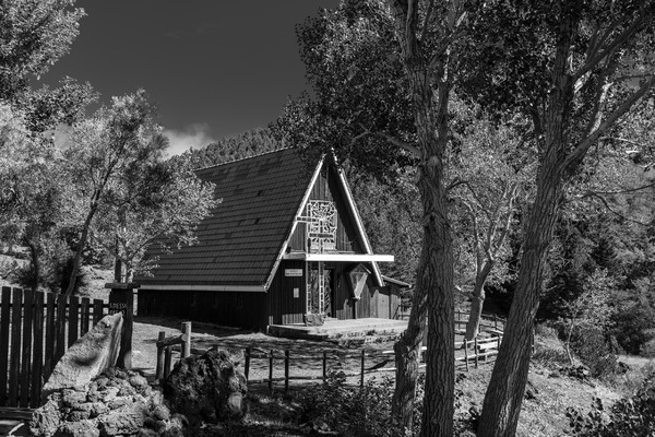 L1010046.jpg