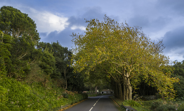 L1000041.jpg